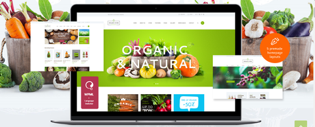 organic store