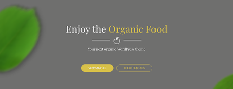 organic food