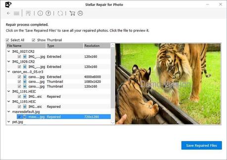 How to Repair Corrupt JPEG Images on PC or Mac (Step By  Step)