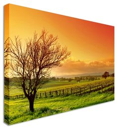 What is a Canvas Print?
