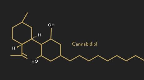 The Endocannabinoid System and CBD