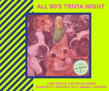 OSPCA hosting totally 80's inspired trivia night to support pets in need