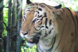 POEMS: Worlds, Real & Imagined