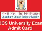 University Exam Admit Card 2020 Chaudhary Charan Singh