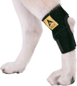  Best Neoprene Dog Knee Brace 2020