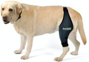 Best Neoprene Dog Knee Brace 2020