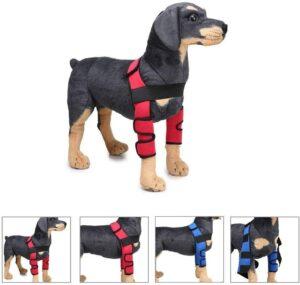  Best Neoprene Dog Knee Brace 2020