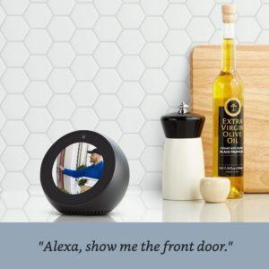 Alexa Ideal device for the blind – Read Kindle Books with