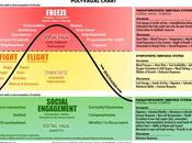 Mental Health Polyvagal Theory