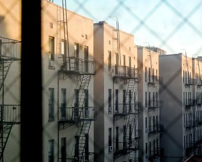 Friday Fotos: Out My Windwo [Hallucinated City]