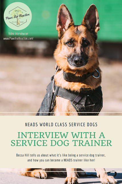 Helping paws: Training service dogs for people with disabilities means maintaining health 