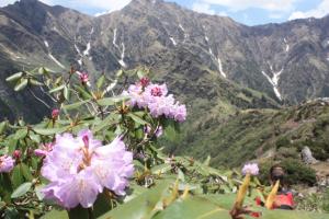 POEM: Day’s End Dance