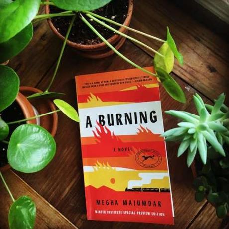 15 Indoor Plants That Are Easy to Grow at Home 15 Indoor Plants That Are Easy to Grow at Home