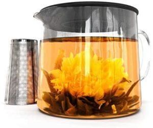  Best Glass Teapot with Infuser 2020