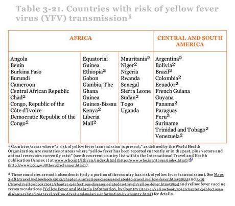 Countries Fear Yellow Fever: Tighten Vaccination Requirements