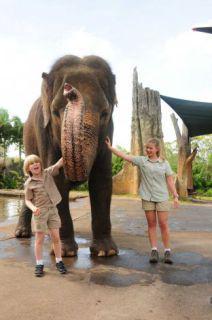 Growing Up Wild, starring Robert and Bindi Irwin: image via mysa.com