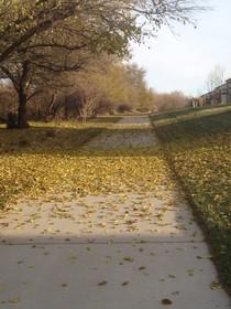 Walking to School Friends