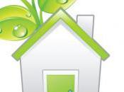 Home Construction Tips Renovating Green