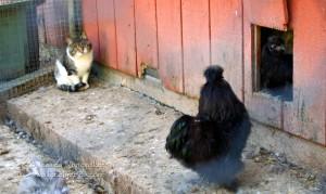 Stapps Circle S Ranch: Greensburg, Indiana