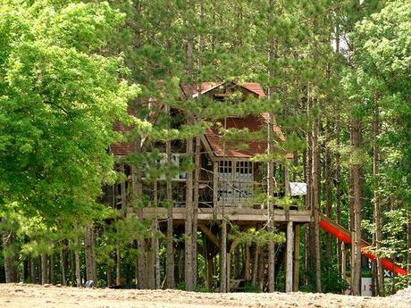 treehouse in the forest with a slide