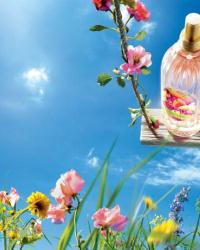 Upcoming Collections: Skin Care: L'Occitane: L'Occitane Rose Des Champs Collection For Summer 2012