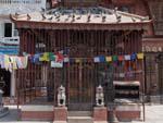 Hindu temple found inside the Shigha Bihar court