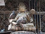 Brass Buddha statue with resting Pigeons