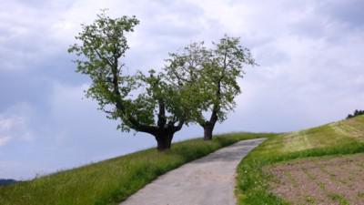 Walks in the Surroundings