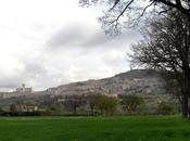 Assisi Town Saints