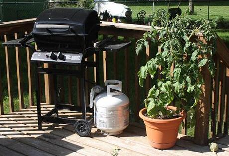 In the Garden: Pots