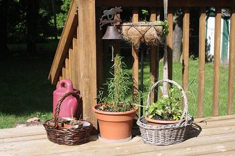 In the Garden: Pots