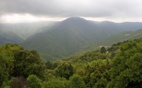 montseny natural park mountain1