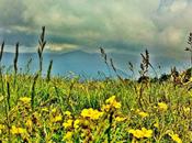 Montseny Natural Park: Slower Life