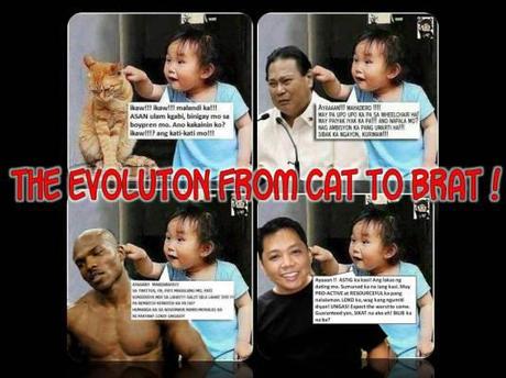 The Evolution From Cat To Brat