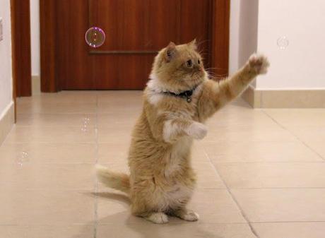 My Week In Pictures - Part 1