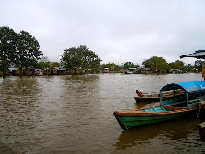 the amazonas