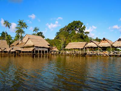 the amazonas