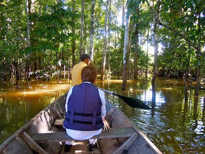 the amazonas