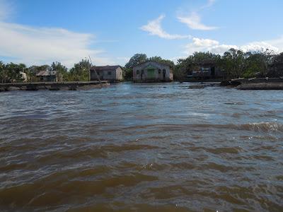 the amazonas