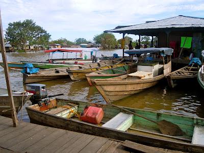 the amazonas