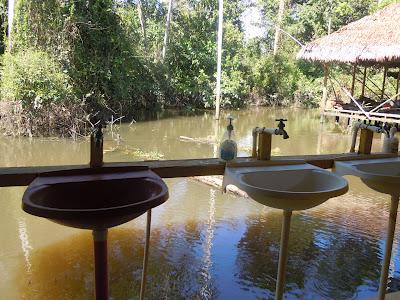 the amazonas