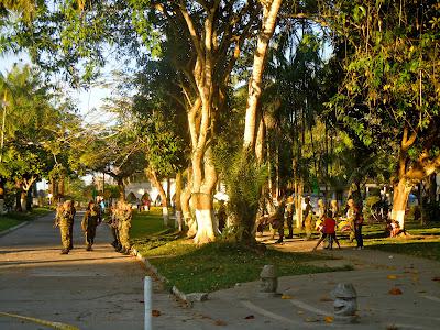 the amazonas