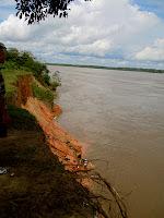 the amazonas