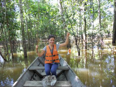 the amazonas