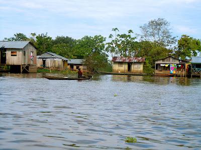 the amazonas