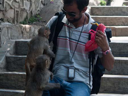 Travis feeding some eager monkeys bits of banana
