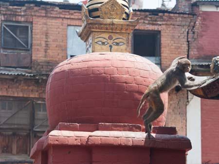 A monkey jumping from a smaller red stupa