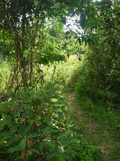 Trekking the River in Budlaan to Ascending the Peak of Mt. Kan-irag