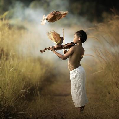 Photo: When I am silent,<br />
I fall into the place where everything is music.<br />
Rumi l♥