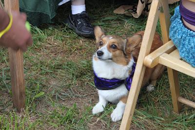 The Saga of Office Boy: The Renaissance Faire.